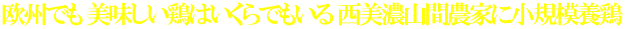 欧州でも 美味しい鶏はいくらでもいる 西美濃山間農家に小規模養鶏