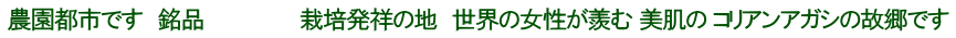 農園都市です　銘品 　　　　　　栽培発祥の地　世界の女性が羨む 美肌の コリアンアガシの故郷です