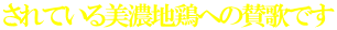 されている美濃地鶏への賛歌です