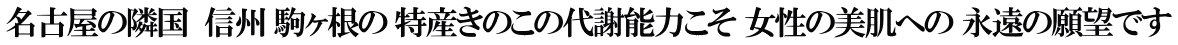 名古屋の隣国  信州 駒ヶ根の 特産きのこの代謝能力こそ 女性の美肌への 永遠の願望です