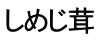 しめじ茸