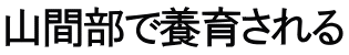 山間部で養育される