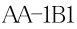 AA-1B1